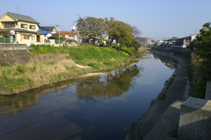 a0097735_241692.jpg