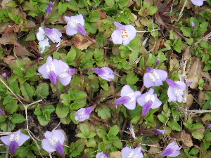 a0054240_21504920.jpg