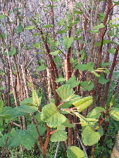 a0054240_2223655.jpg