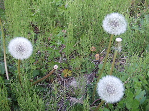 a0054240_2231204.jpg
