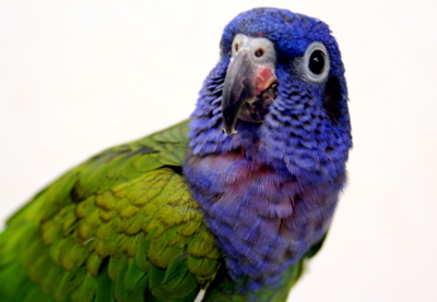 a0058941_23399100.jpg