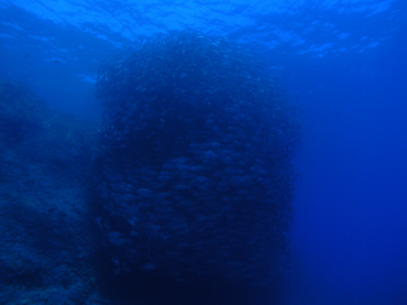d0065247_1833373.jpg