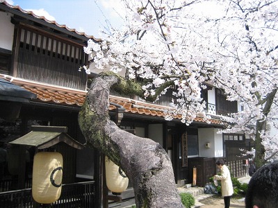 d0031853_21491477.jpg