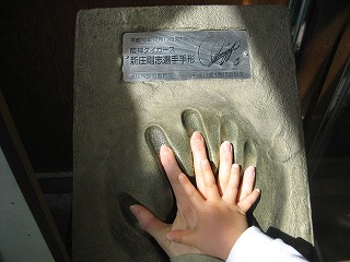 d0031853_2251560.jpg