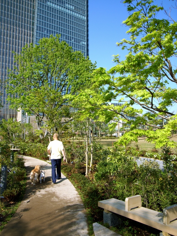 f0070556_11145839.jpg