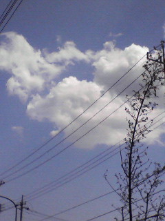 e0016164_17562261.jpg