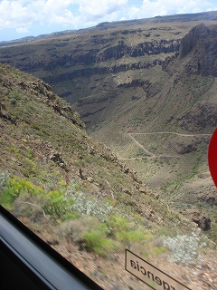 e0110868_103925.jpg