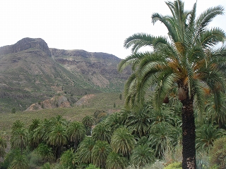 e0110868_1442198.jpg