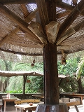 e0110868_154762.jpg