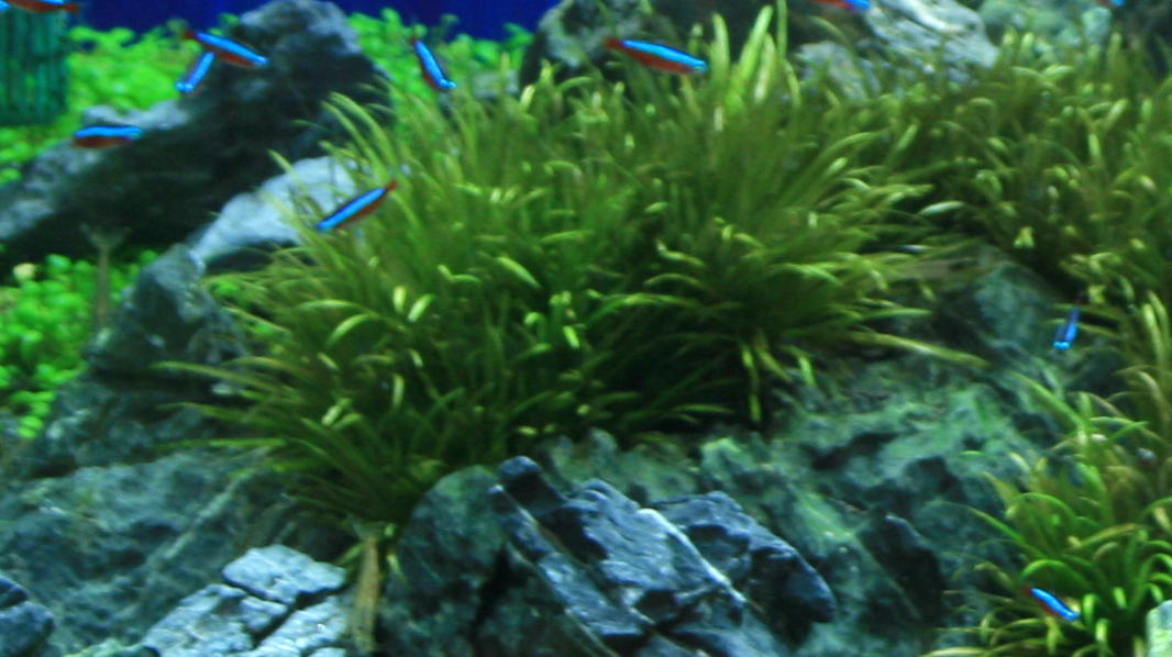 d0090170_18491997.jpg