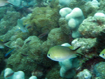 a0002177_20223628.jpg