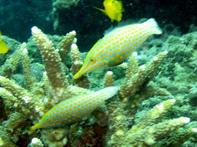 a0002177_20231042.jpg