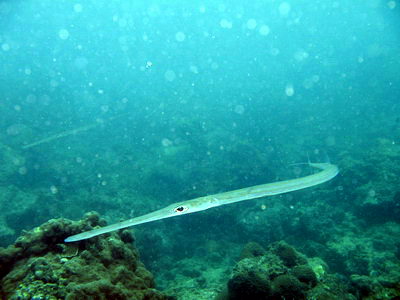 a0002177_20271478.jpg