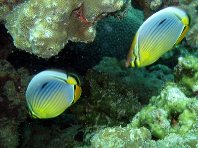 a0002177_2044989.jpg