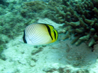 a0002177_20475366.jpg