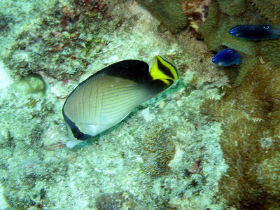 a0002177_20481853.jpg