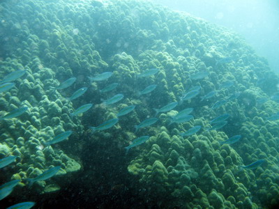 a0002177_20505355.jpg