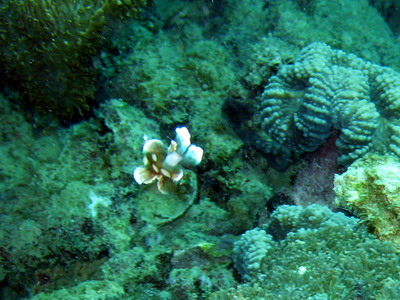 a0002177_21118.jpg