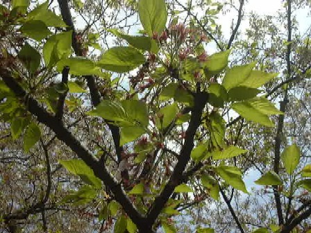 f0039281_0151396.jpg