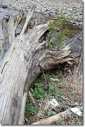 e0010185_2137385.jpg