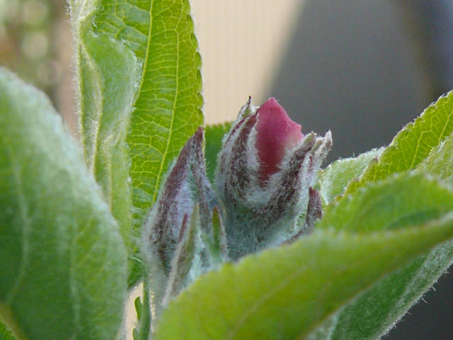 a0067201_2155610.jpg