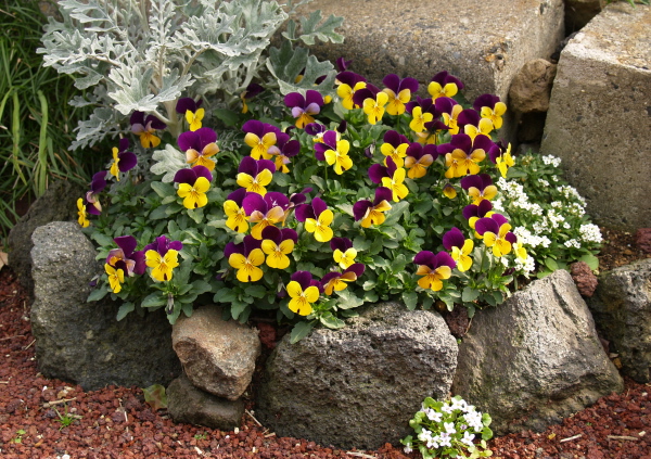 e0089001_21443919.jpg