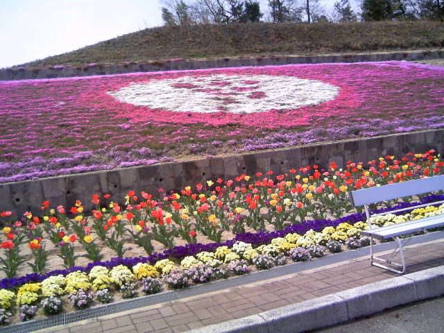f0014209_14402034.jpg
