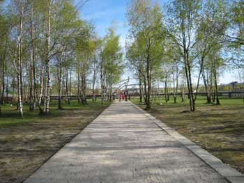 e0038811_7384197.jpg