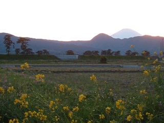 f0068511_19664.jpg