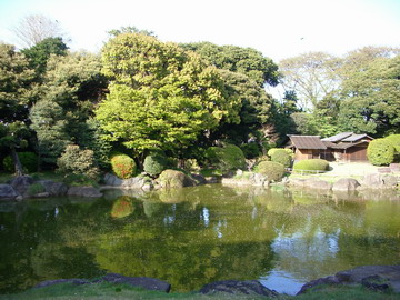 b0010914_1175534.jpg
