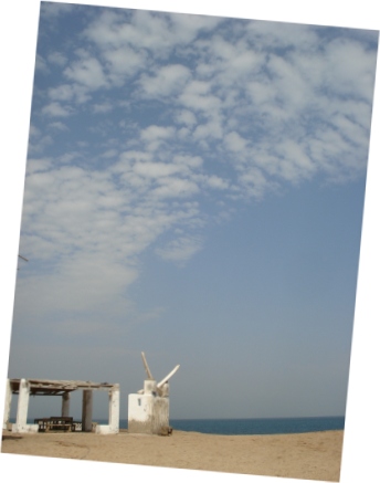 a0090924_6275298.jpg