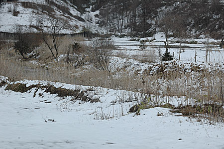 a0104024_18574387.jpg