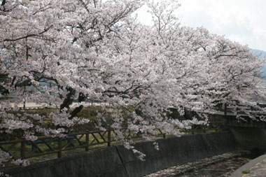 b0056924_229743.jpg