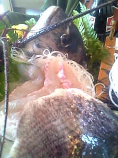 f0057324_1453322.jpg