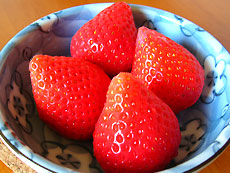 f0130024_18312238.jpg