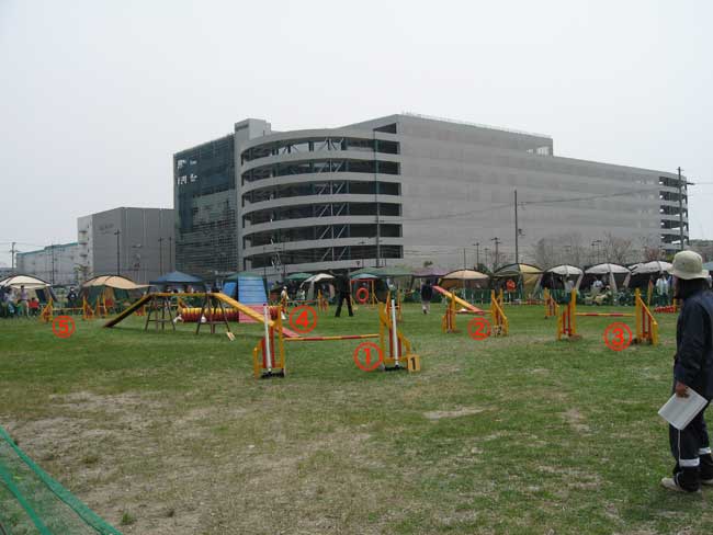 b0066826_21563427.jpg