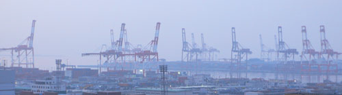 a0046429_17362664.jpg