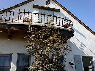 c0110930_133350.jpg