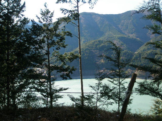 e0065830_00352.jpg