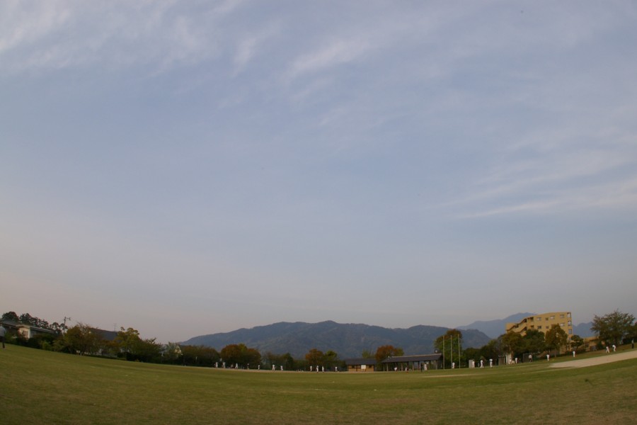 d0079432_6145183.jpg