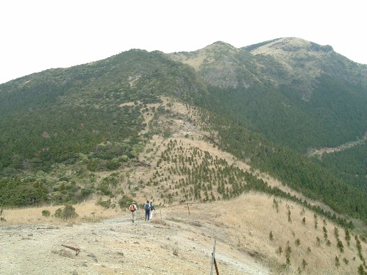 c0077338_21355777.jpg