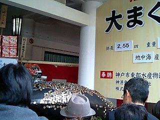 f0135940_2342322.jpg