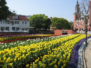 a0045845_17215099.jpg