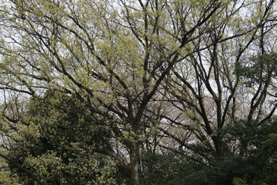 d0025545_9352649.jpg