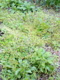 e0023845_21274236.jpg