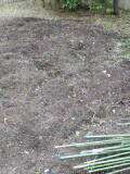 e0023845_21274257.jpg