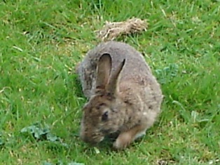 e0018350_2310192.jpg