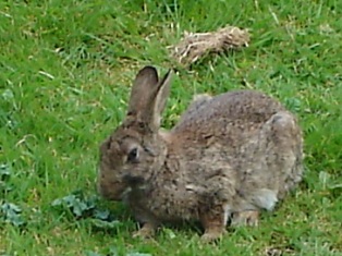 e0018350_23103537.jpg