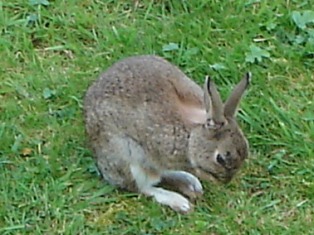 e0018350_239291.jpg