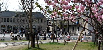 e0014058_1641056.jpg